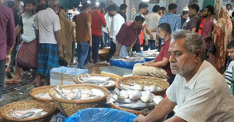 ইলিশের বাজার